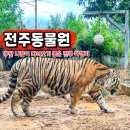 완산공원(아래) | 전주 동물원 시간 드림랜드 놀이공원 피크닉 주말 나들이