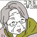 프렌즈 | 2025 파워풀 대구 축제 통역 프렌즈 후기