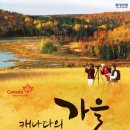 몽항공여행사