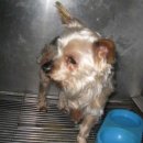 김정복 동물병원 이미지