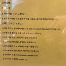 섬 호텔 | 피피섬 호텔 후기 / 피피 아일랜드 카바나 호텔 (26년 6월 방문)