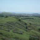 읍하목장 이미지