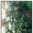 원농장1 이미지