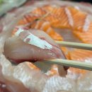 춘천 퇴계동맛집 횟집 추천 젊은어부 모둠회후기