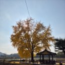 신당리마을회관 이미지