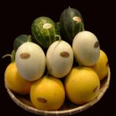 고령 멜빙축제 이미지