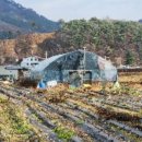 포전리마을회관 이미지