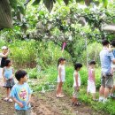 추억만들기민박 이미지