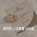 루루호텔 | 베트남 호치민 니코호텔 사이공 룸 컨디션 투숙 후기