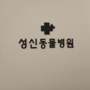 성신동물병원 이미지