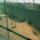 조양농원 이미지