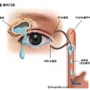 햇살가득한의원 이미지