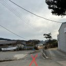 수피자 내수점 | 청주 내수 대형 카페 오치브 솔직 후기