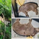 동문지구대 이미지