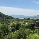 대산면914 이미지