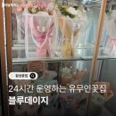 블루데이지 | 횡성꽃집 유무인꽃집시스템 블루데이지 내돈내산 구매후기