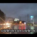 눈물비, 들꽃. 이미지