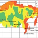 대국에너지 이미지