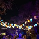 식물원 강아지 | 뉴욕 야경 명소 브루클린 식물원 I 강아지랑 뉴욕 여행 EP.19