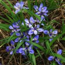 울도해변민박 이미지