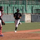 진해공설운동장 야구장 이미지