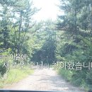 포르토펜션 이미지