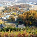 맹골마을 이미지