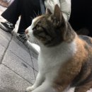 에꼬미 - 동해시 중앙로 247 | 에꼬미