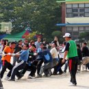 도봉초등학교 이미지