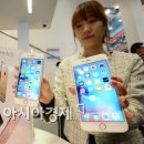 성장 멈췄다는 애플, 한국선 쑥쑥 크는 비밀 이미지
