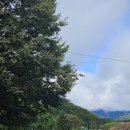 서문경농협 농암지점 이미지