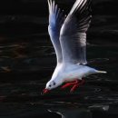 기초부터 시작하는 영어회화 이미지