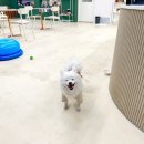 이로운 생활