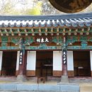 신촌향사 이미지