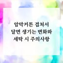 대덕세탁 | 암막커튼 겹쳐서 달면 생기는 변화와 세탁 시 주의사항