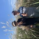 제3막 인생: 제주살이(66) - 2025(11) 이미지