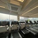 더라인핏 이미지