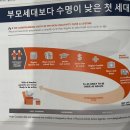 광주방림초등학교 | ‘K스포츠 재도약 위한 성찰과 제언’ 스포츠 정책 포럼 참석 후기