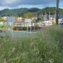 중리공원 내 이미지