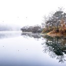 위양지 관광농원 이미지