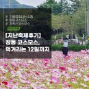 코스모스리사이클링 | [지난축제후기]가을로 떠나는 소풍, 장동 계족산 코스모스 축제 / 먹거리는 12일까지운영