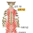 더블유필라테스 - 용인시 기흥구 강남로 7 | 더블유필라테스