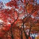 만경여행사 | [휴가 일상 3일차] 늦은 여름휴가 당일치기 패키지여행 첫 번째 장소 : 대둔산 케이블카를 타고 산과...