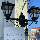 내동네공유주거 사회적협동조합 네이버블로그