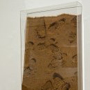 포항시립미술관 | [국내여행/포항] 포항시립미술관 &amp; 스페이스워크 후기, 혼자 여행 코스로 추천