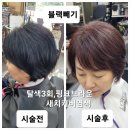 클릭헤어리더 | ✨️5년 블랙 염색의 배신? 탈색 3회로 이뤄낸 핑크브라운 새치커버, 그 기적의 현장! ✨️