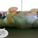 거성수산 이미지