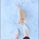 펜션 노엘 이미지