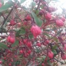 신명농장 이미지