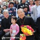 양들의평화